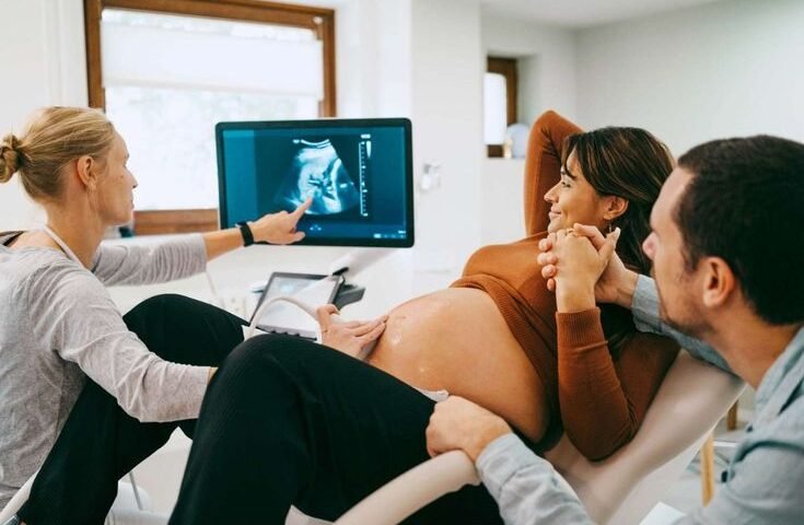 early pregnancy scan