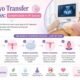 Embryo transfer process