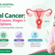 Illustration showing cervical cancer symptoms, causes, and treatment options